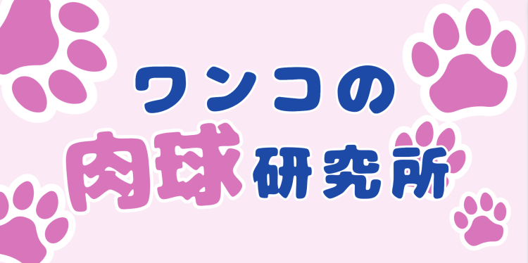 カワイイがいっぱい！ワンダーランド
